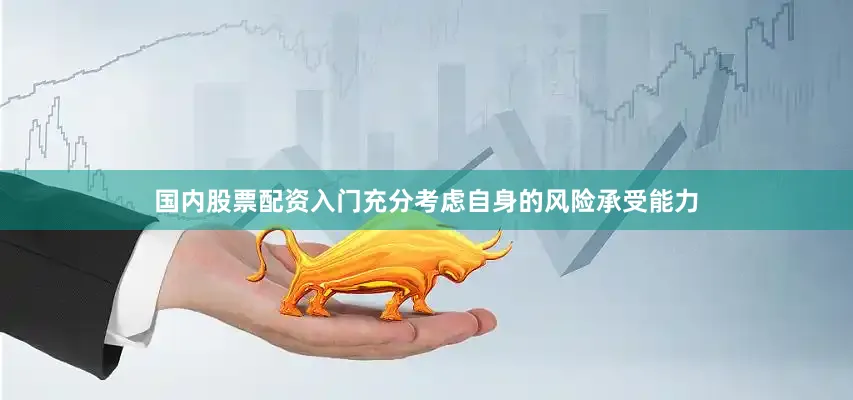 国内股票配资入门充分考虑自身的风险承受能力