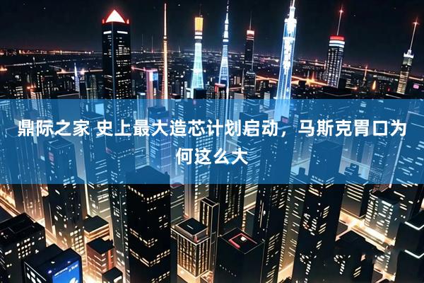 鼎际之家 史上最大造芯计划启动，马斯克胃口为何这么大