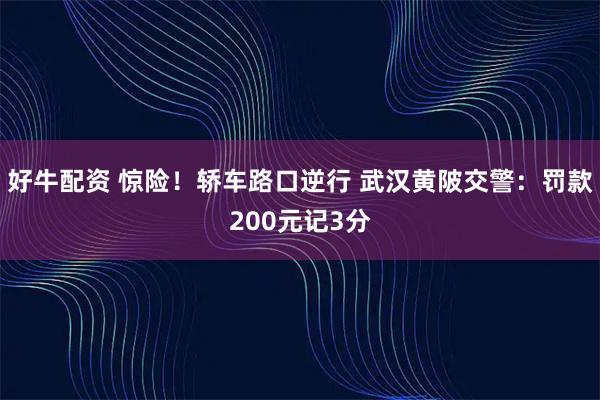 好牛配资 惊险！轿车路口逆行 武汉黄陂交警：罚款200元记3分