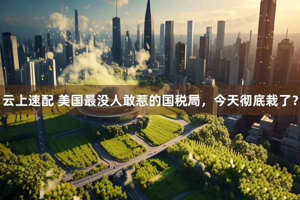 云上速配 美国最没人敢惹的国税局，今天彻底栽了？